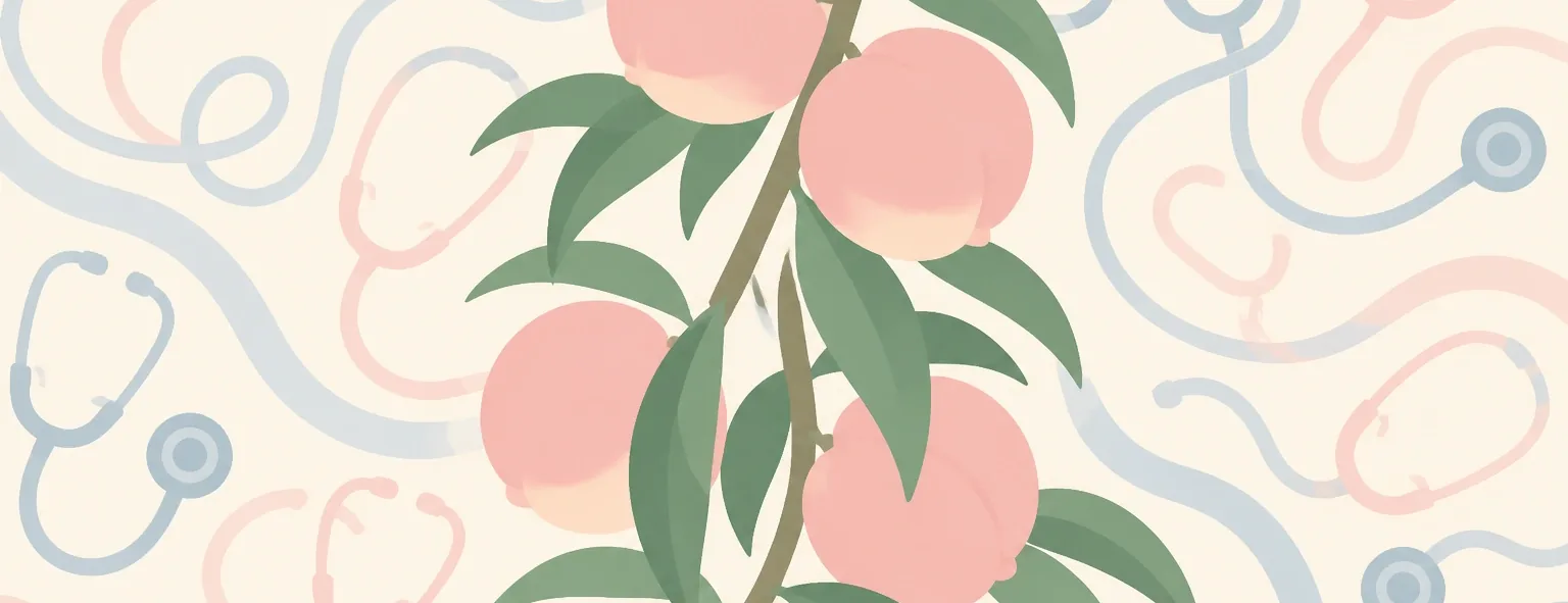 桃陵高校のイメージイラスト