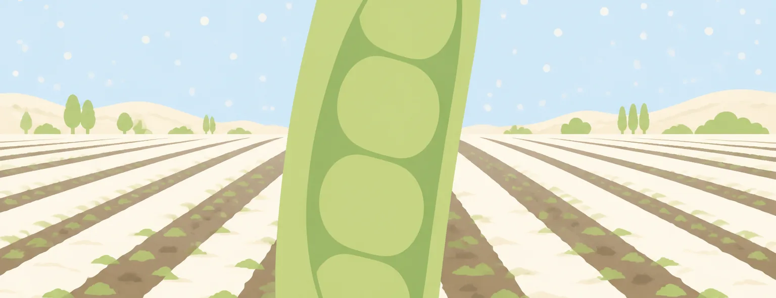 北海道本別高校のイメージイラスト