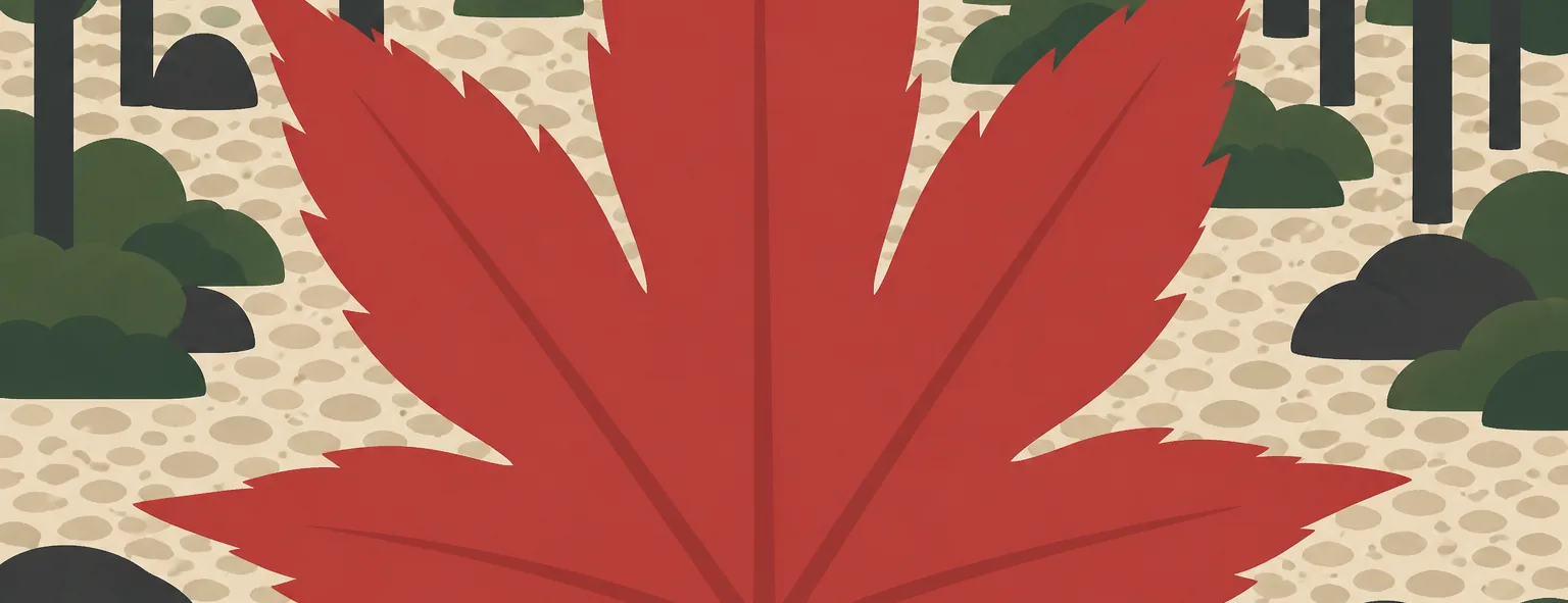 国士舘高校のイメージイラスト