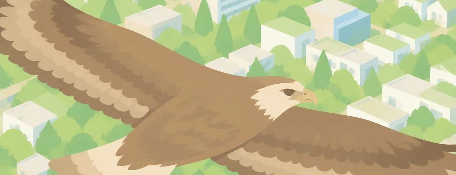 流山おおたかの森高校のイメージイラスト