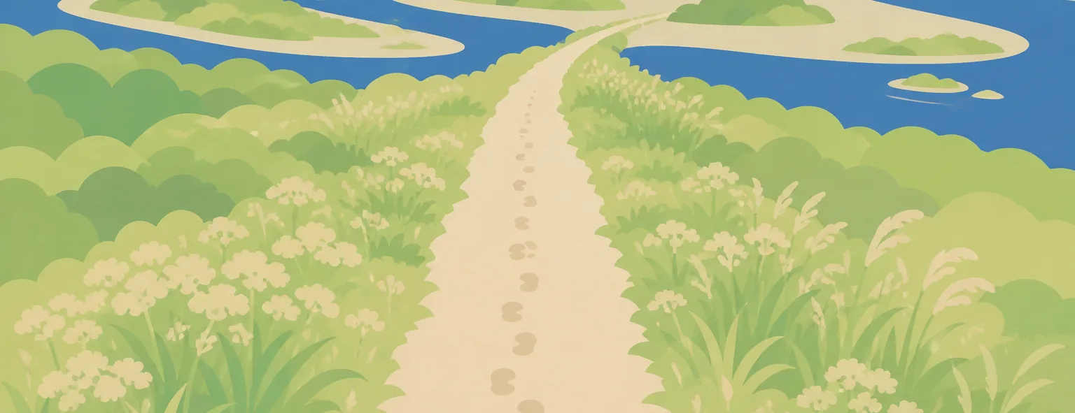 中間高校のイメージイラスト