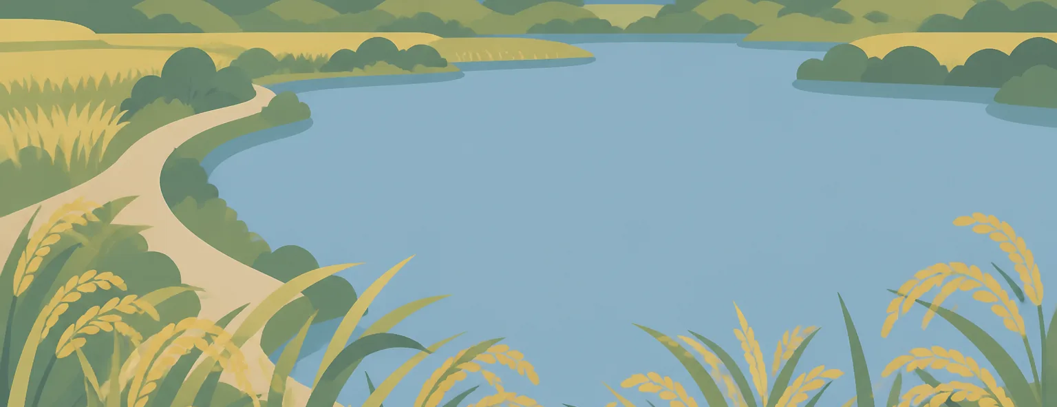 狭山高校のイメージイラスト