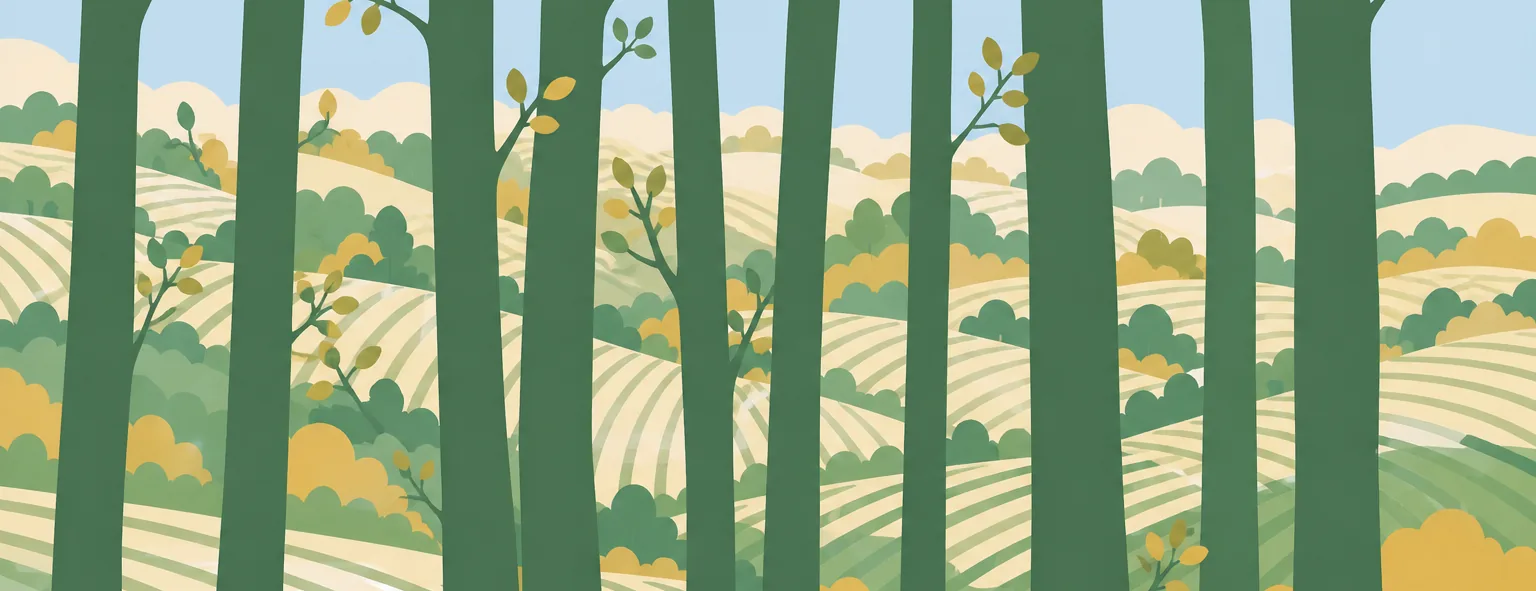 狭山清陵高校のイメージイラスト