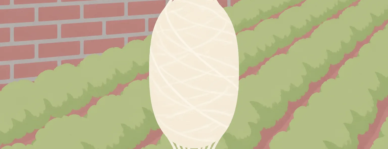 富岡実業高校のイメージイラスト