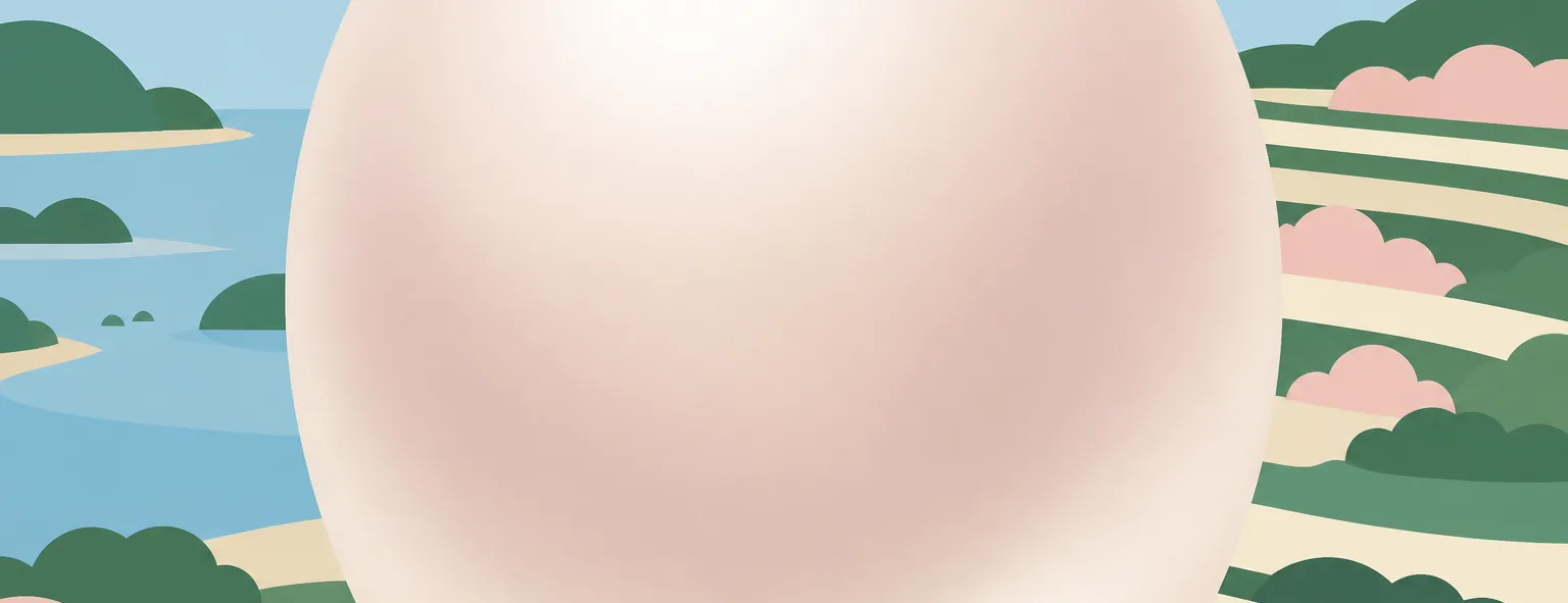 宇和島南中等教育学校のイメージイラスト