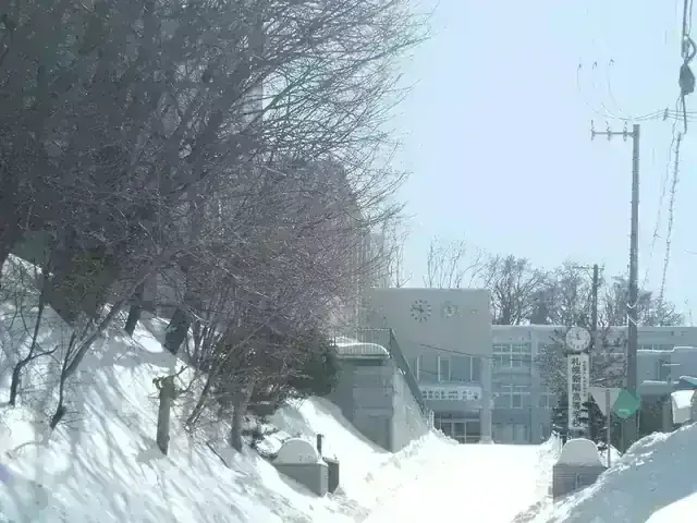 札幌新陽高等学校
