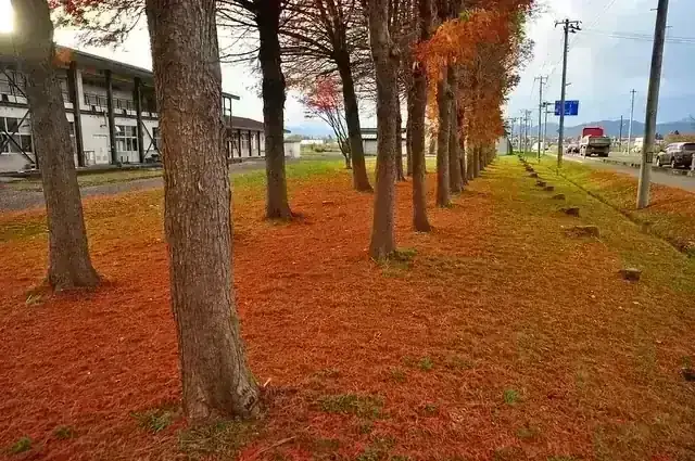 岩手県立花巻農業高等学校