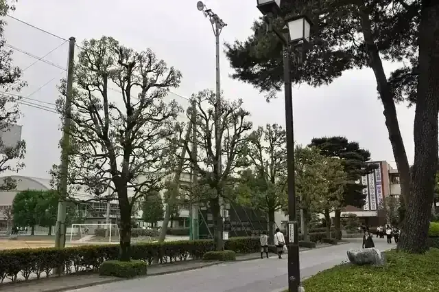 埼玉県立本庄高等学校