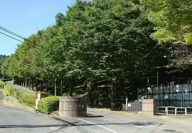 自由の森学園高等学校