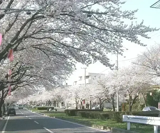 千葉県立鎌ヶ谷西高等学校