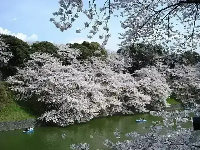 二松学舎大学附属高等学校