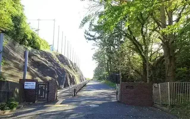 神奈川県立横浜立野高等学校