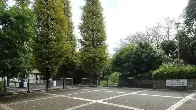 星槎高等学校