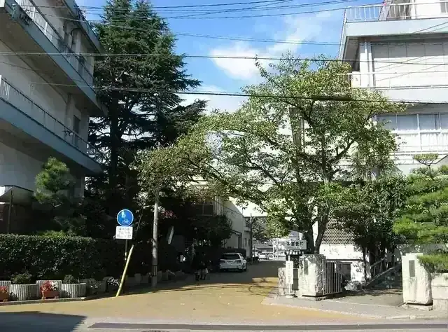啓新高等学校