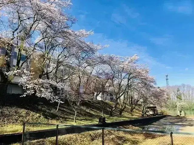岐阜県立中津川工業高等学校