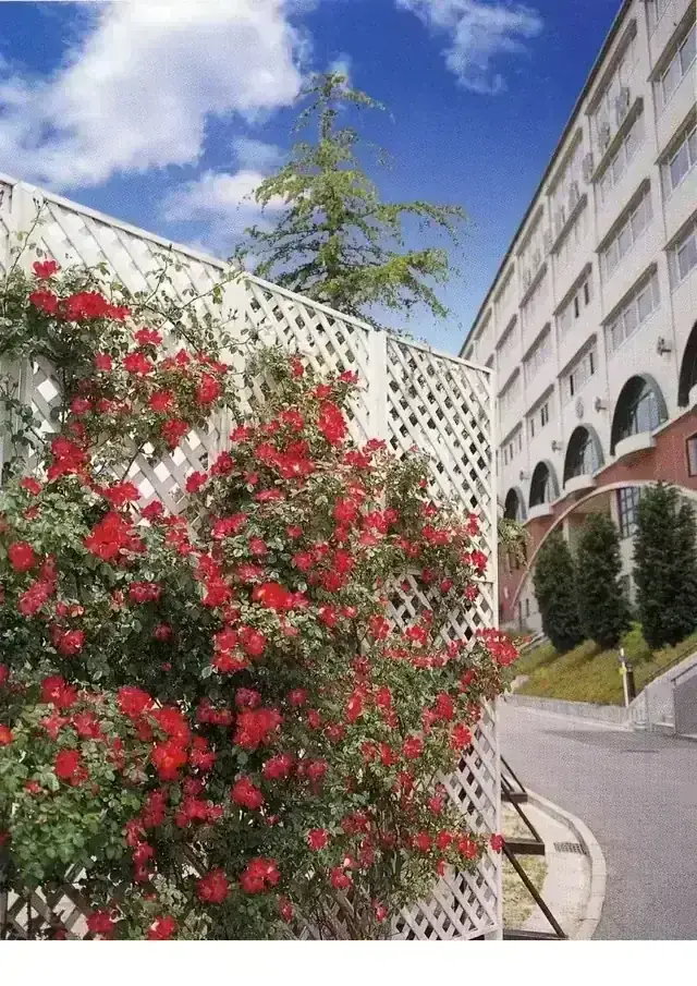 神戸星城高等学校